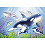 ravensburger_pusle_2x24_tk_värviline_veealune_078158V_1