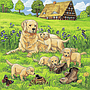 ravensburger_pusle_3x49_tk_kassid_ja_koerad_080021V_1