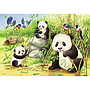 ravensburger_pusle_2x24_tk_koalad_ja_pandad_078202V_1