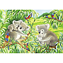 ravensburger_pusle_2x24_tk_koalad_ja_pandad_078202V_2