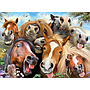 ravensburger_pusle_500_tk_hobuste_selfie_146956V_2