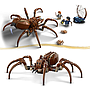 lego_harry_potter_aragog_keelatud_metsas_76434L_2