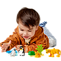 lego_duplo_metsloomade_perekonnad:_pingviinid_ja_lõvid_10442L_4
