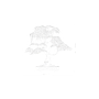 lego_botanicals_jaapani_punase_vahtra_bonsaipuu
_10348L_5