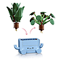 lego_botanicals_rõõmsad_taimed_10349L_4