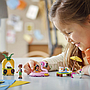 lego_friends_ükssarviku_ja_flamingo_basseinipidu_42658L_2