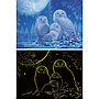 ravensburger_pimedas_helendav_pusle_500_tk:_öökullid_kuuvalgel_12000479V_1