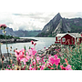 ravensburger_pusle_1000_tk:_lofoodid_norras_12000112V_1