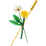lego_botanicals_põllulilled_30701L_1