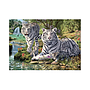 dino_peitepusle_1000_tk:_valge_tiiger_53326D_2