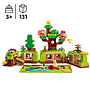 lego_duplo_avasta_metsa_koos_metsloomadega_10480L_9