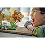 lego_creator_metsloomad:_majesteetlik_lõvi_31386L_11
