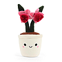 keel_toys_keeleco_botanical_taimed_-_12_erinevat_SE4950K_8