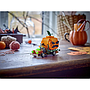 lego_iconic_jack-o'-lantern_pikapauto_40822L_2