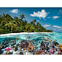 ravensburger_pusle_2000_tk:_sukeldumas_maldiividel_174416V_1