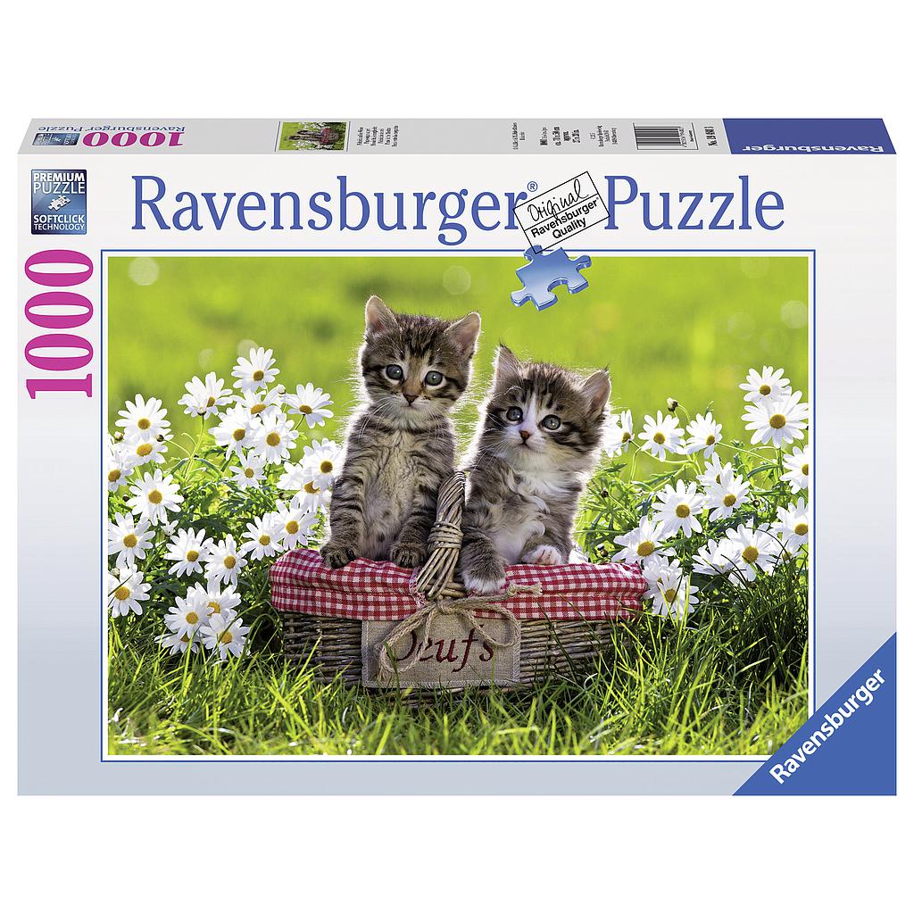 Ravensburger puzzle 1000 pc Kittens on a picnic
